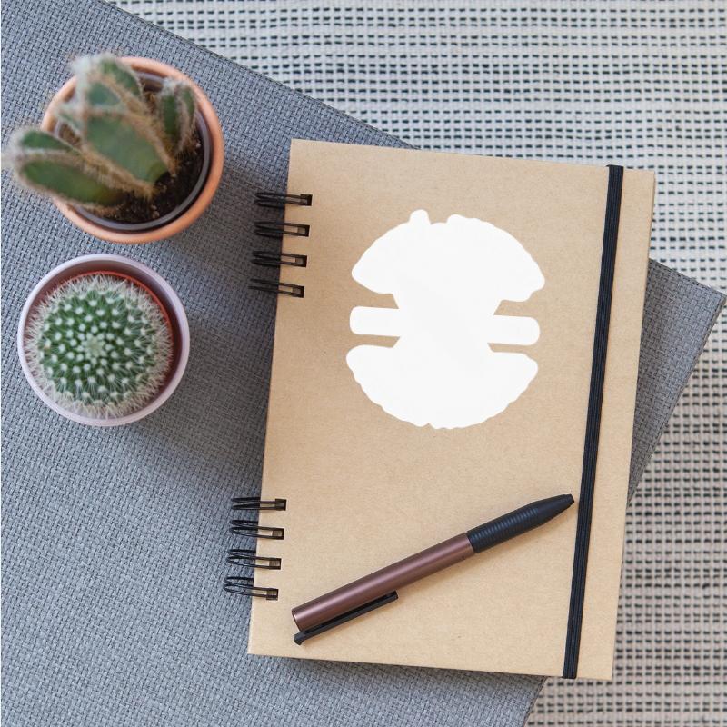 Nazare Surf Surfing Portugal Surfer Praia Do Norte