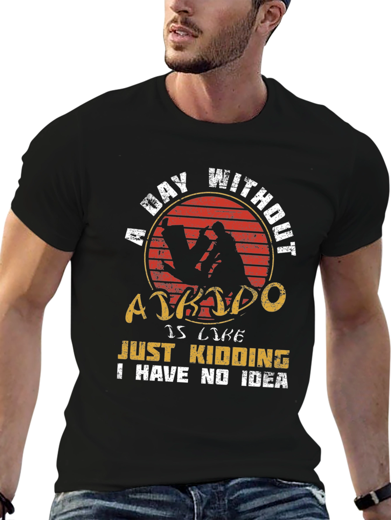 Aikido T-Shirt: A Day Without Aikido Funny Tee