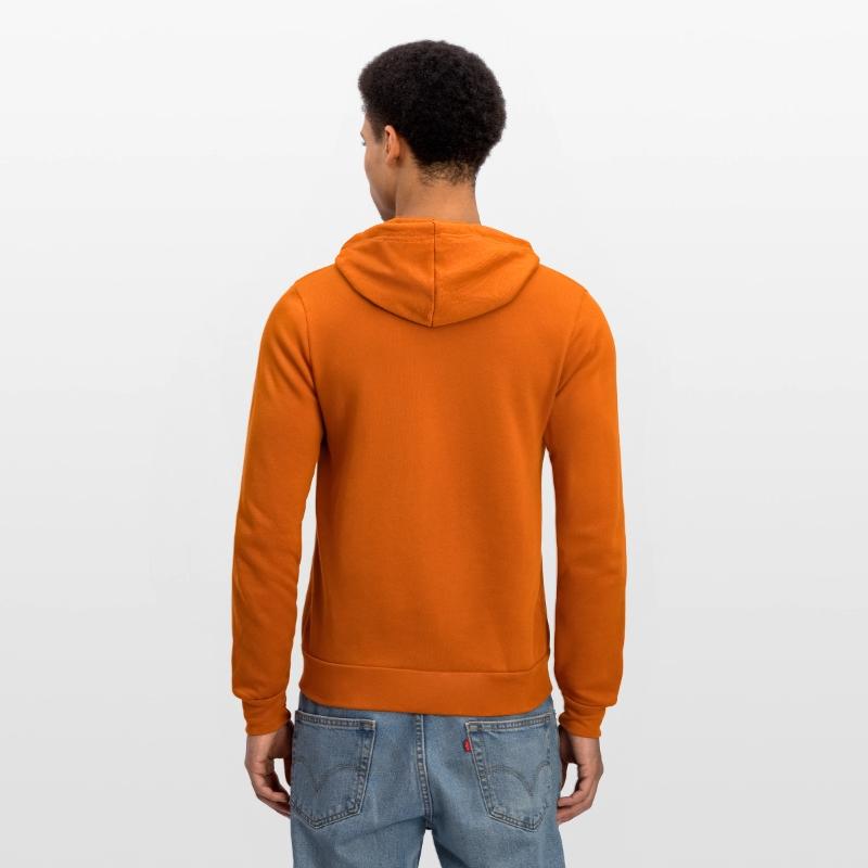 Italian Alps with American Flag 2026 Winter Oly.