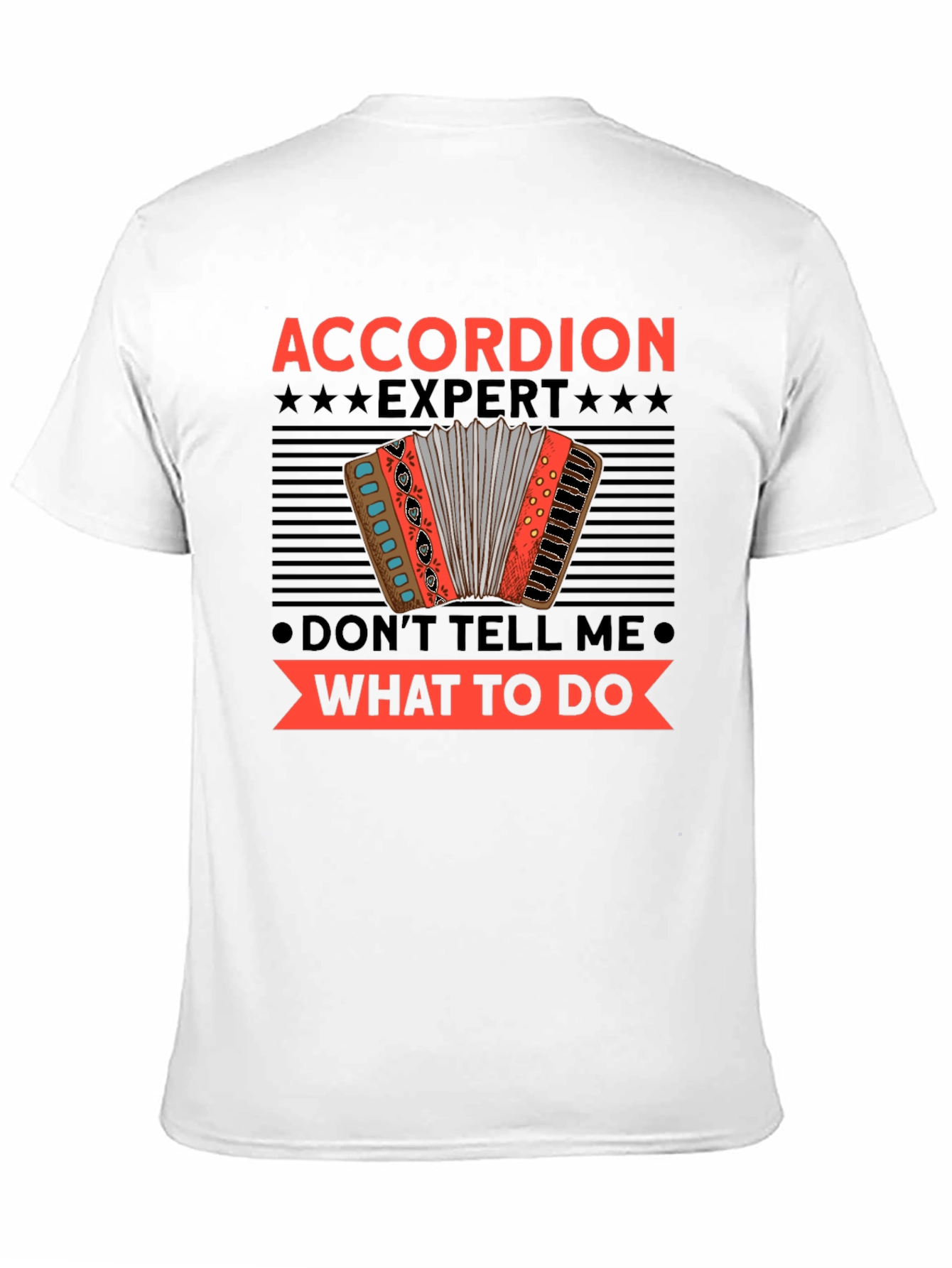 Accordion Expert Funny T-Shirt