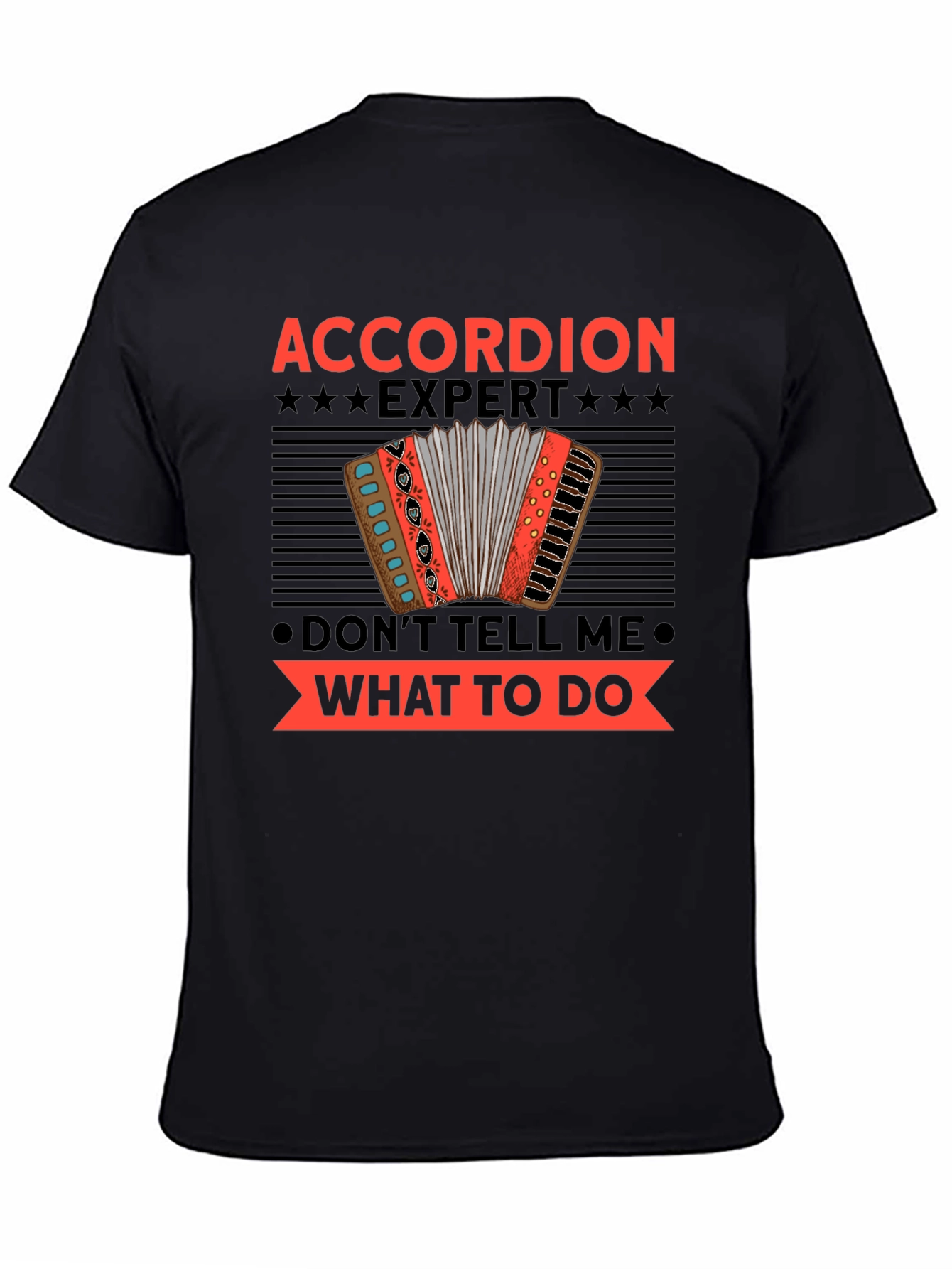 Accordion Expert Funny T-Shirt