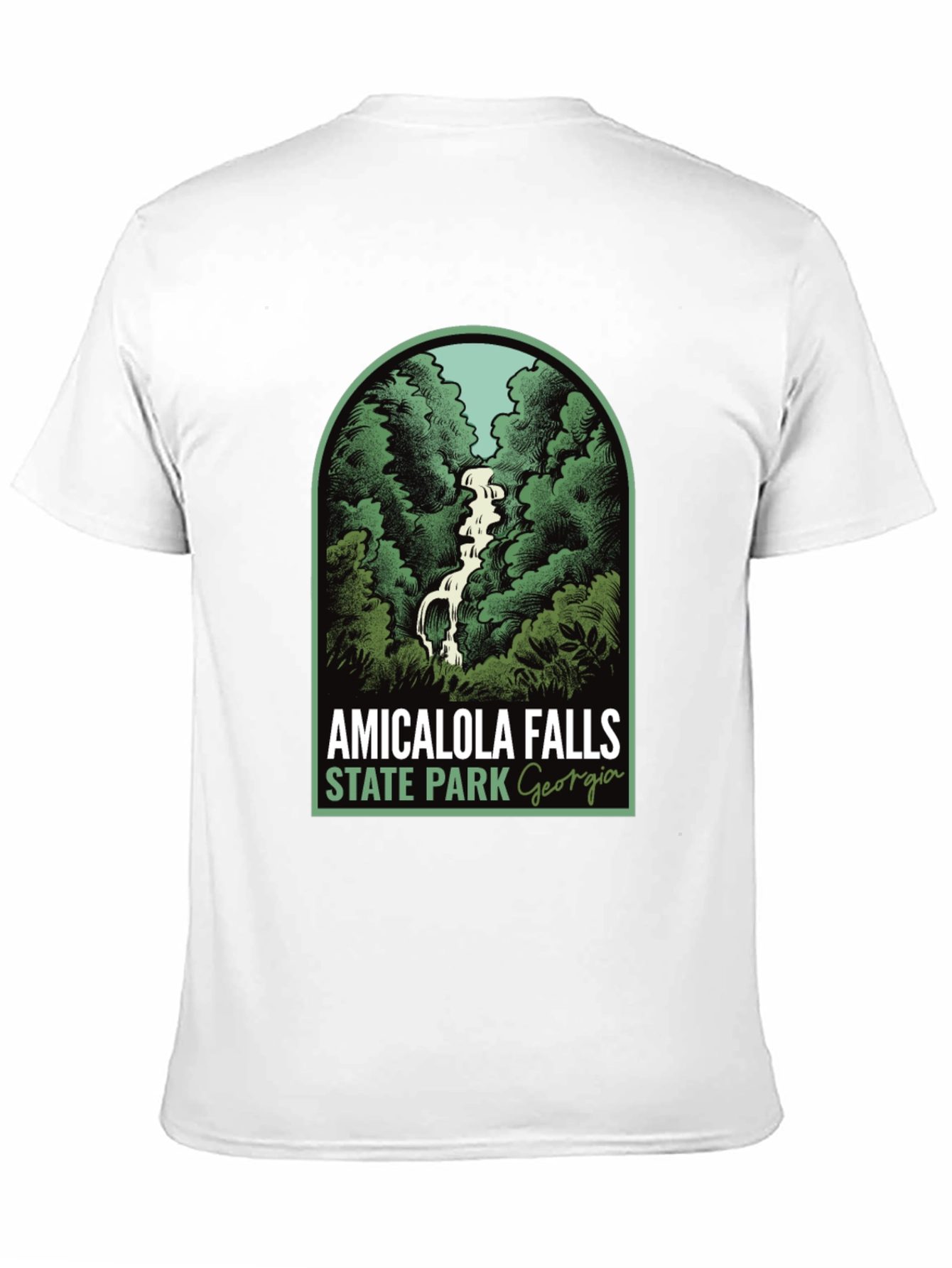 Amicalola Falls State Park Georgia T-Shirt