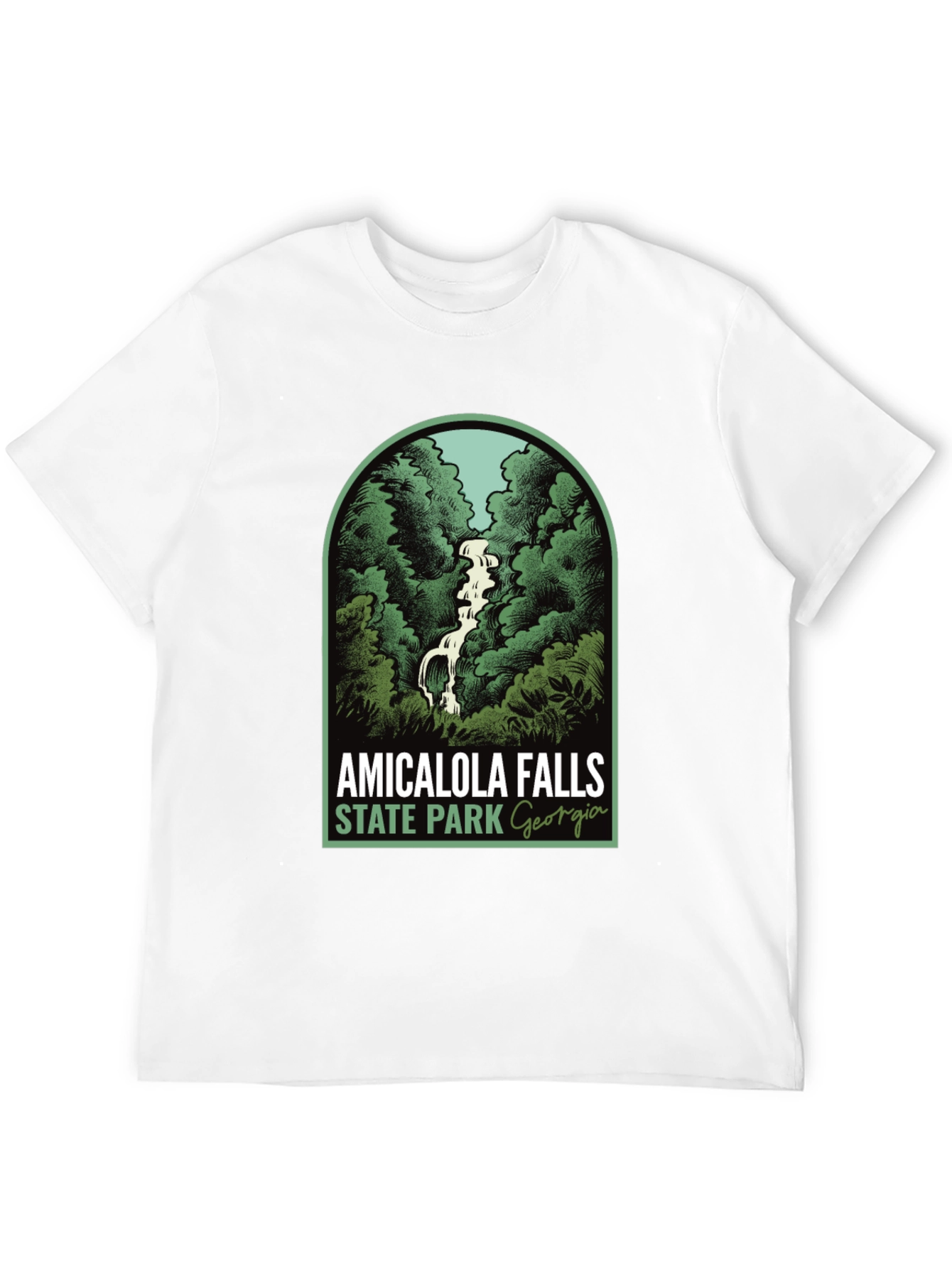 Amicalola Falls State Park Georgia T-Shirt