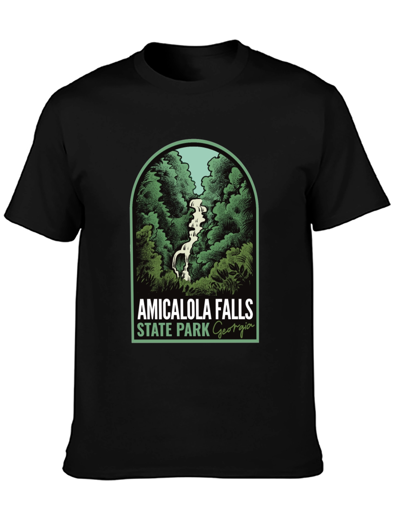 Amicalola Falls State Park Georgia T-Shirt