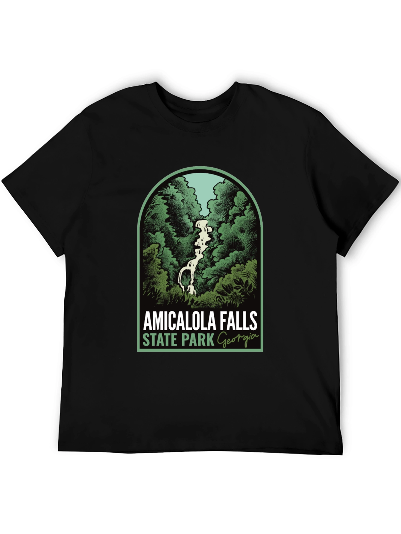 Amicalola Falls State Park Georgia T-Shirt
