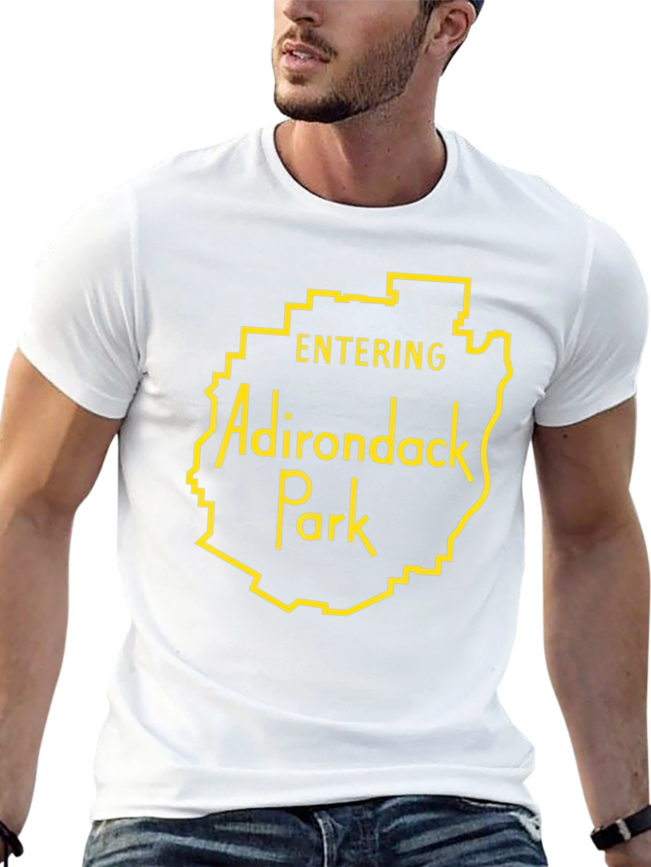 Adirondack Park Entrance Graphic Tee