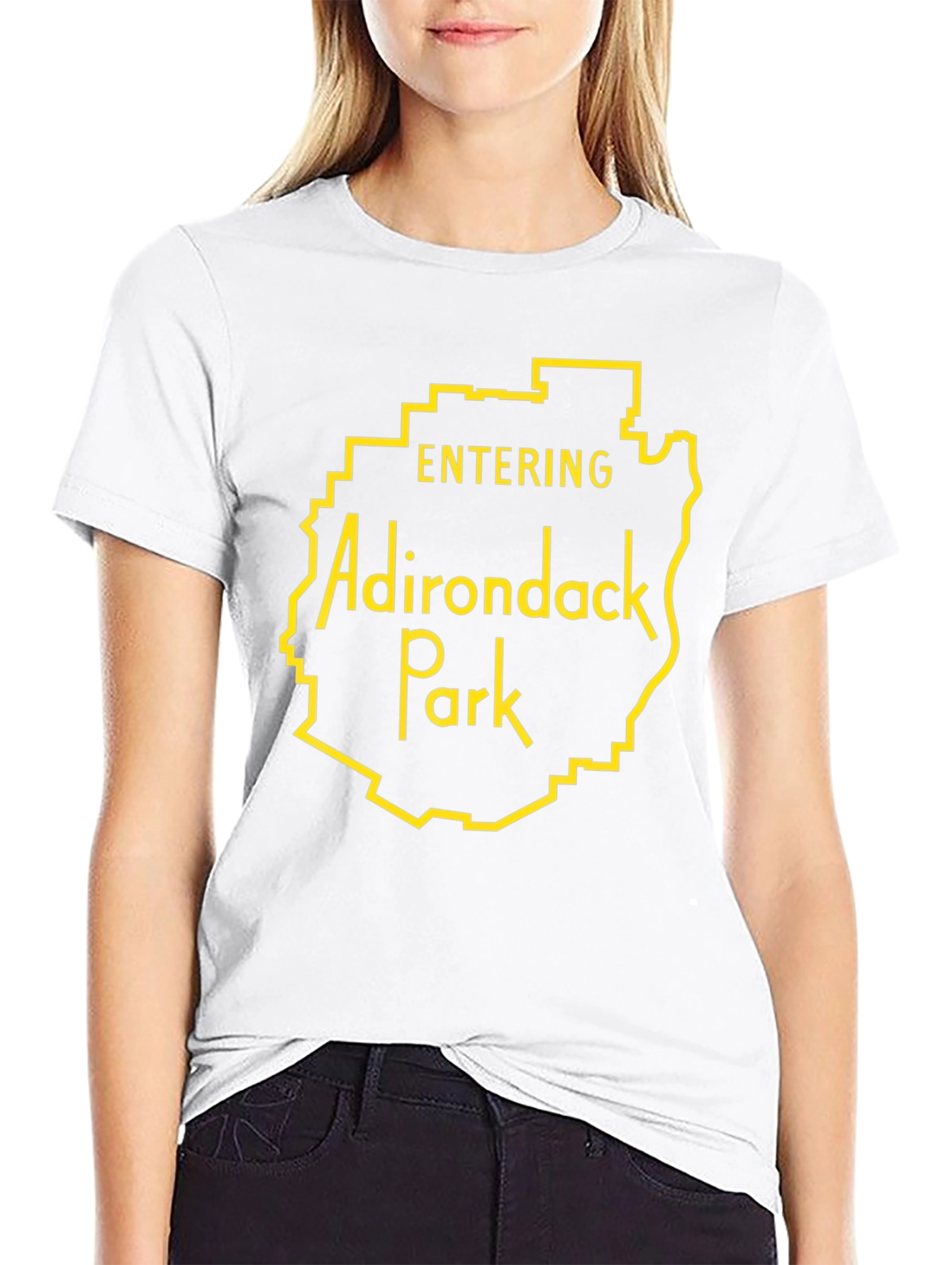 Adirondack Park Entrance Graphic Tee