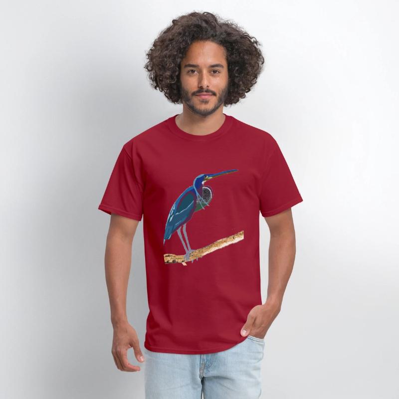 Agami Heron Bird Art
