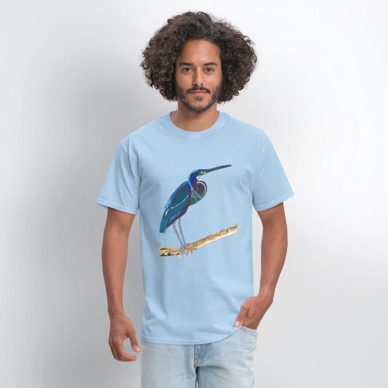 Agami Heron Bird Art