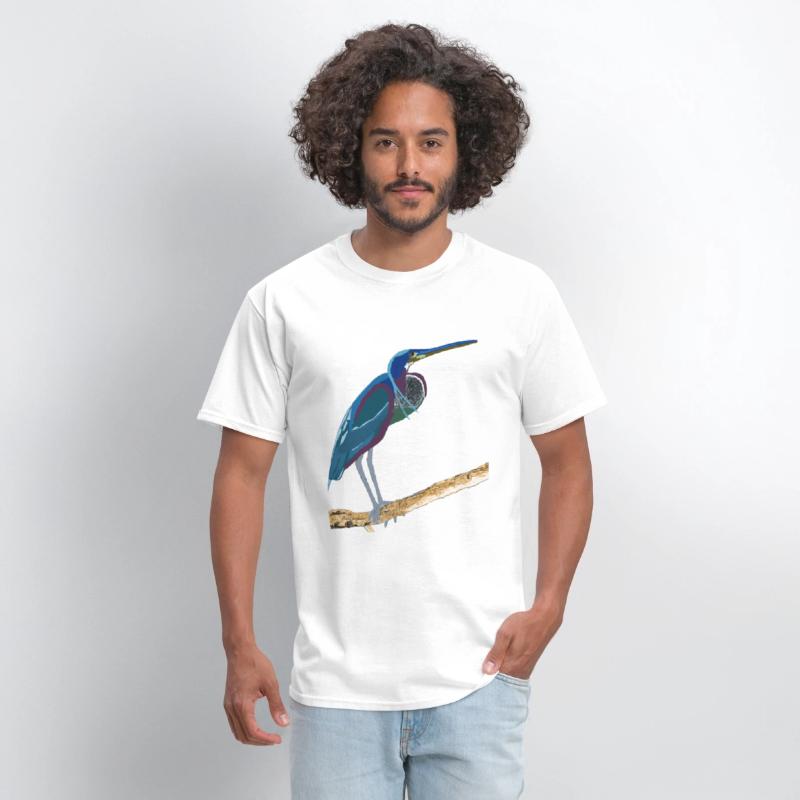 Agami Heron Bird Art