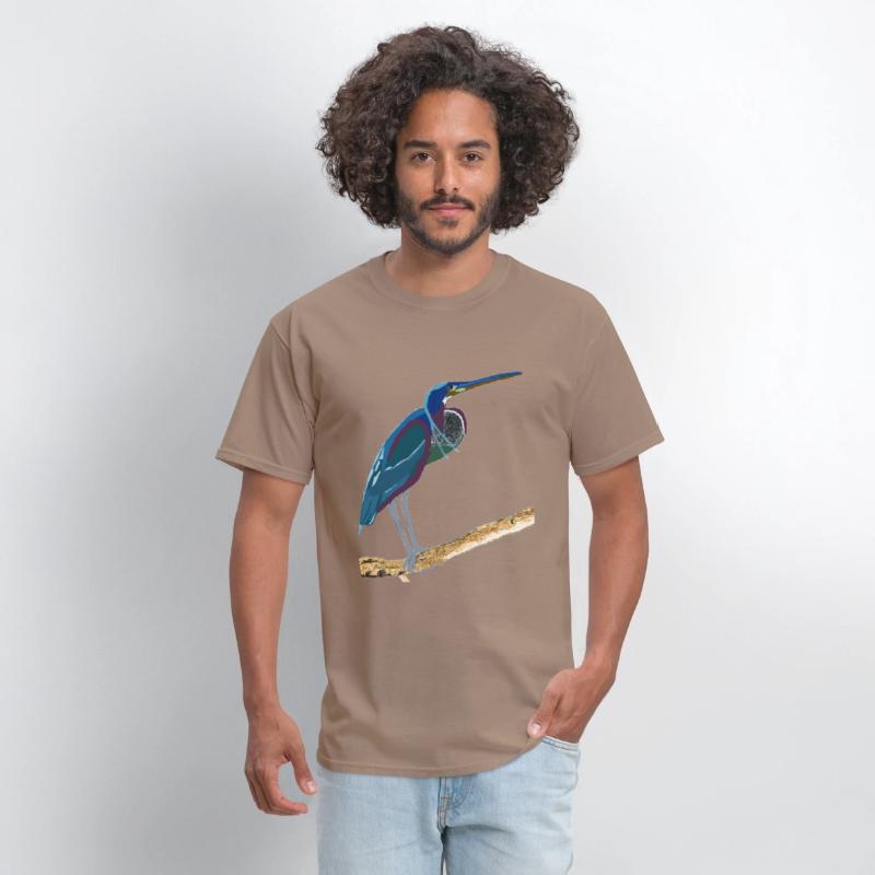 Agami Heron Bird Art