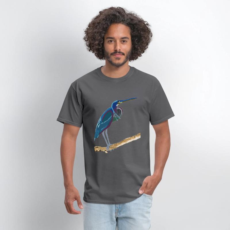 Agami Heron Bird Art
