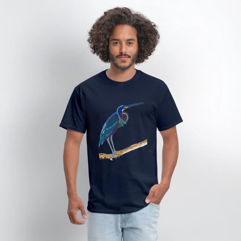 Agami Heron Bird Art