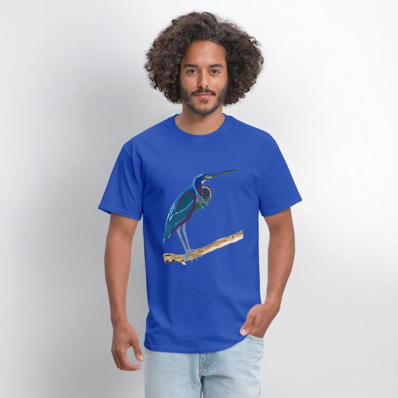 Agami Heron Bird Art