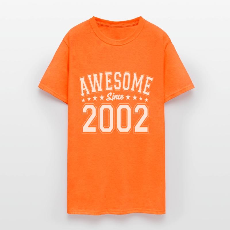 Awesome Since 2002 Birthday 2002 Vintage 2002
