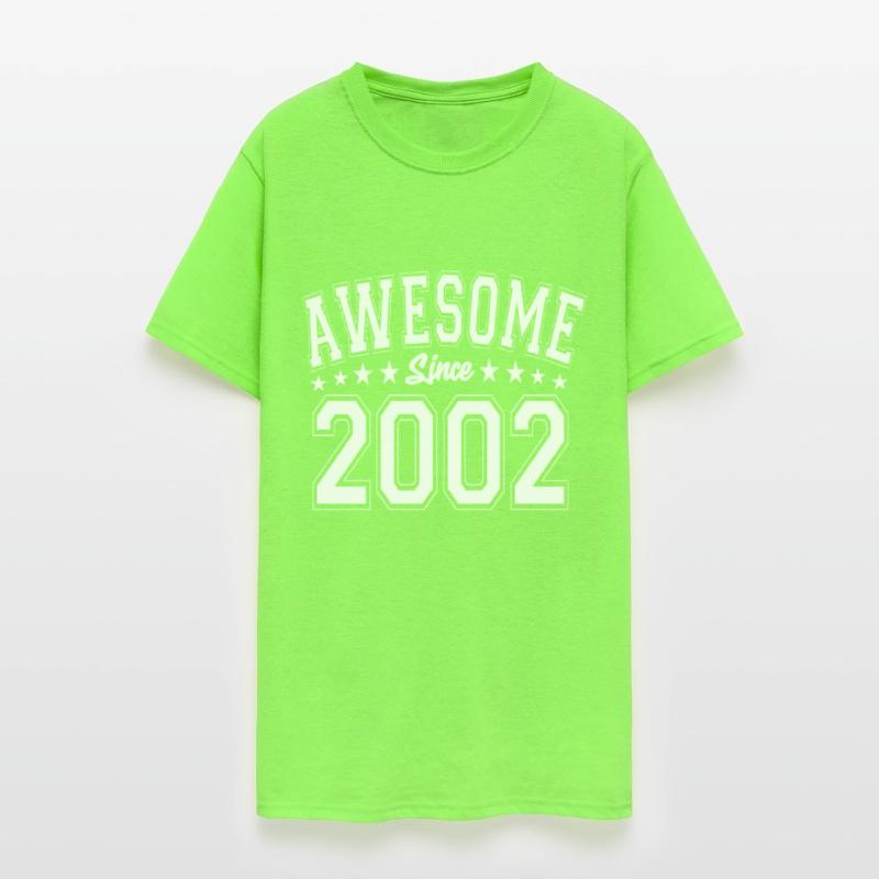 Awesome Since 2002 Birthday 2002 Vintage 2002