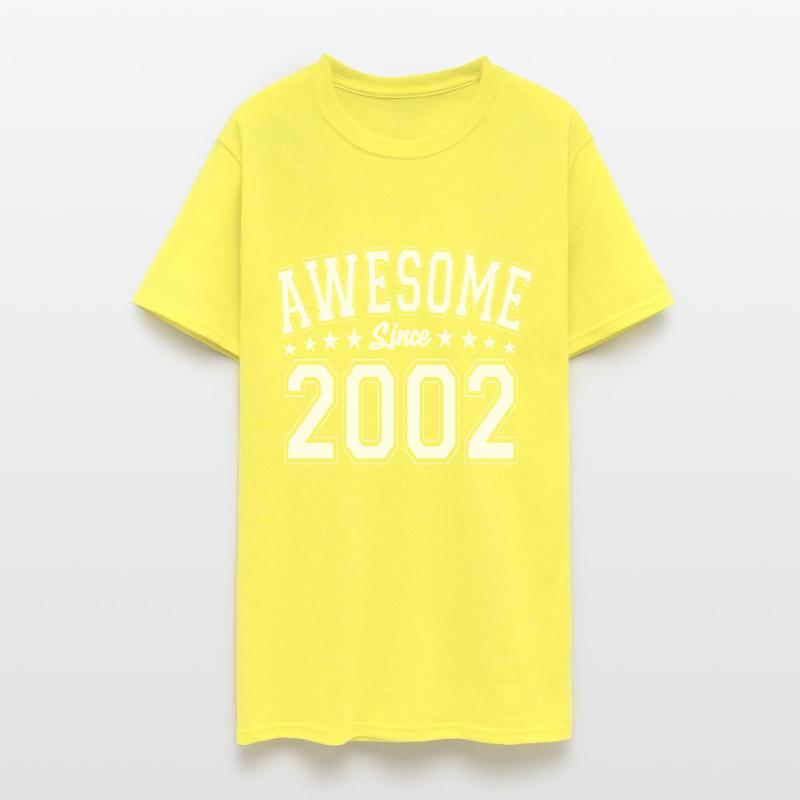 Awesome Since 2002 Birthday 2002 Vintage 2002