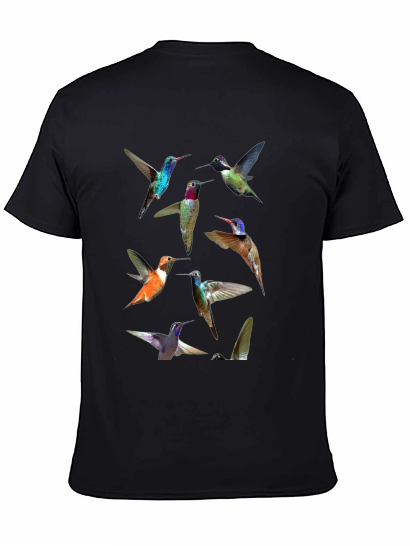 Hummingbird Print Crew Neck Tee