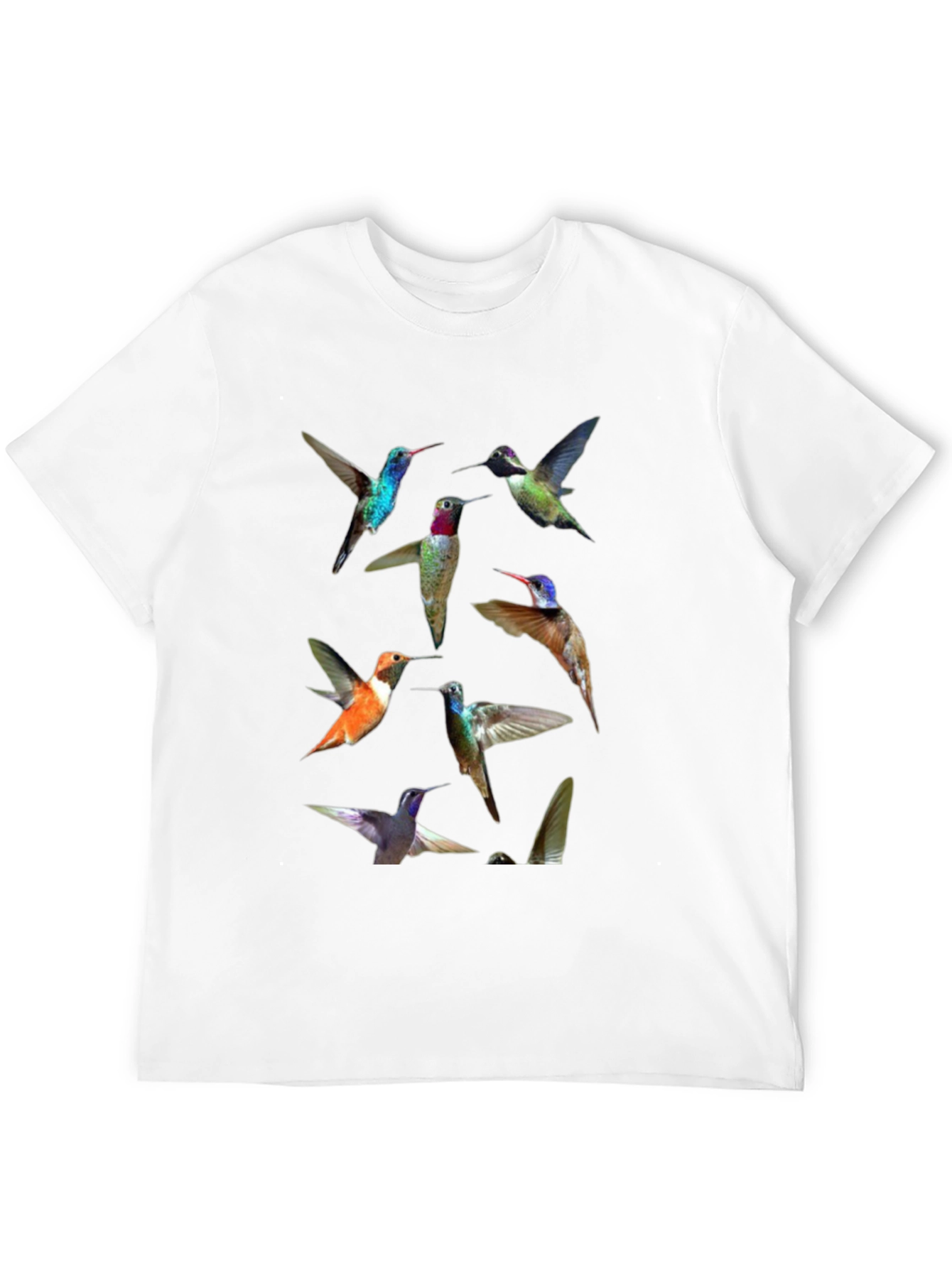 Hummingbird Print Crew Neck Tee