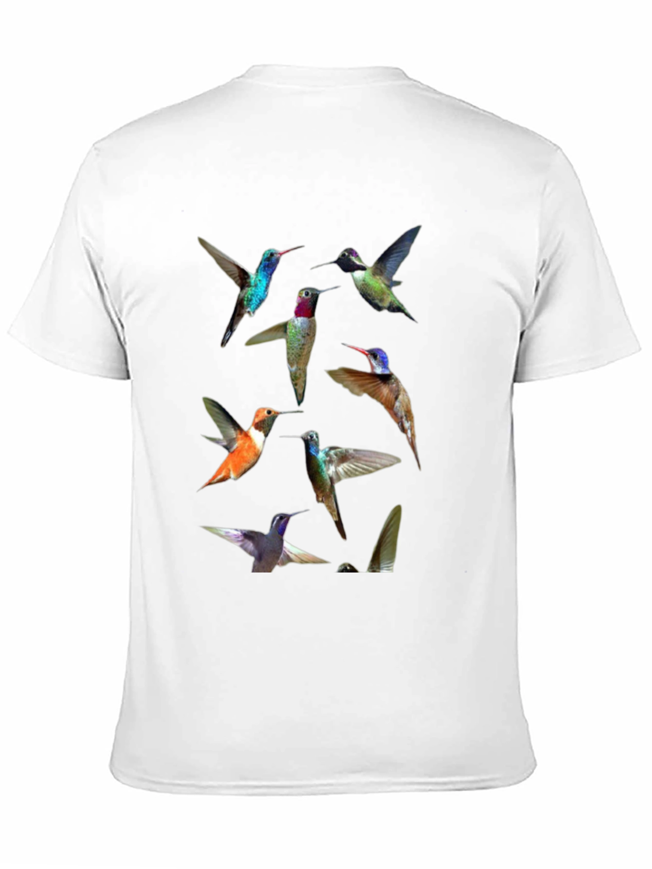 Hummingbird Print Crew Neck Tee