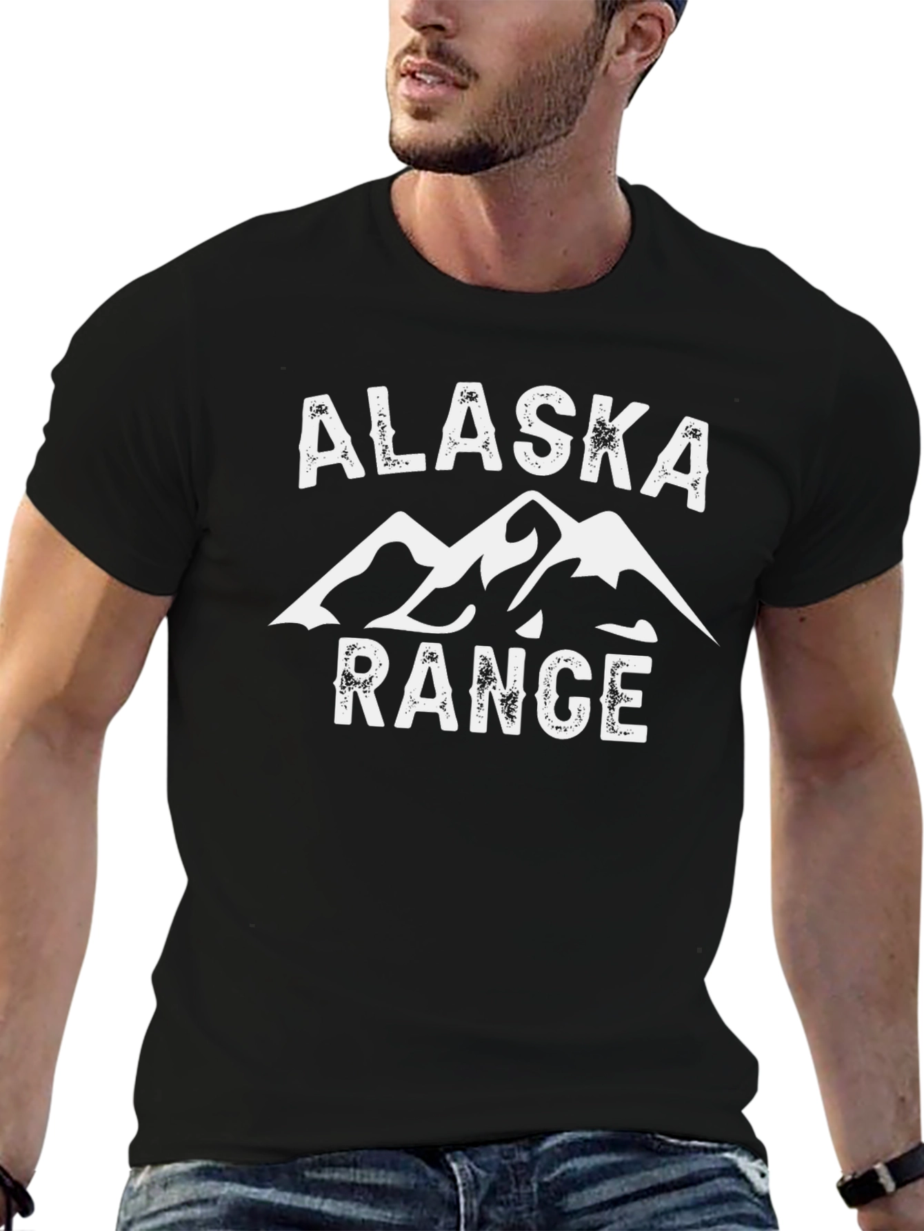 Alaska Range Graphic T-Shirt - Black