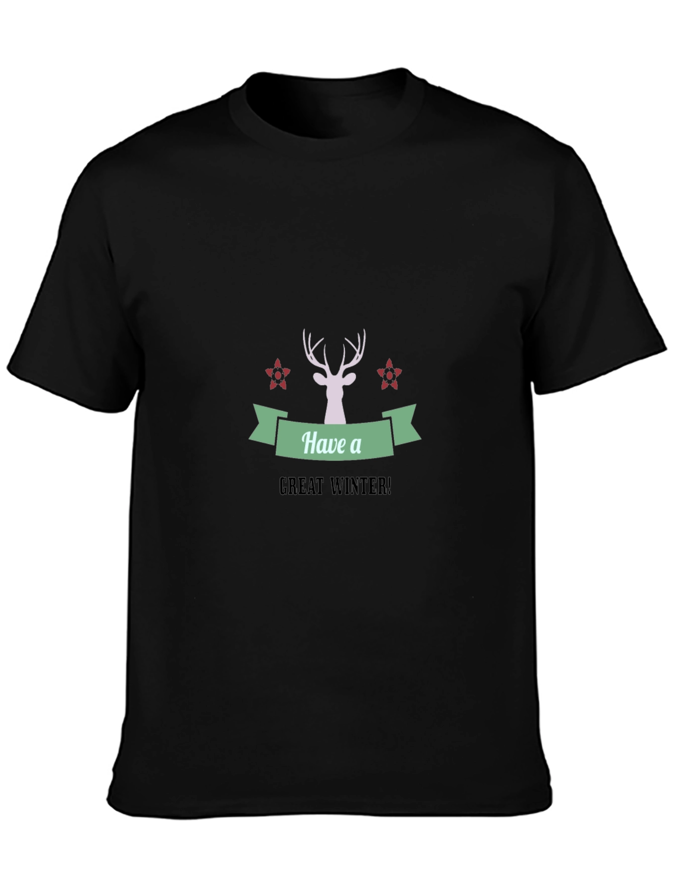 Have a Great Winter Black T-Shirt