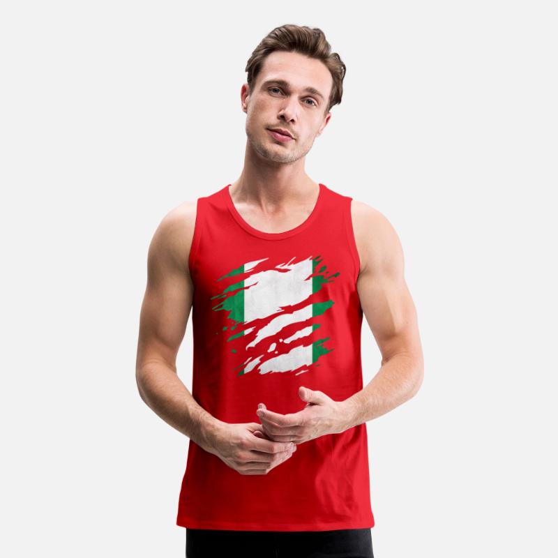 Nigeria - national flag, scratches, cracks