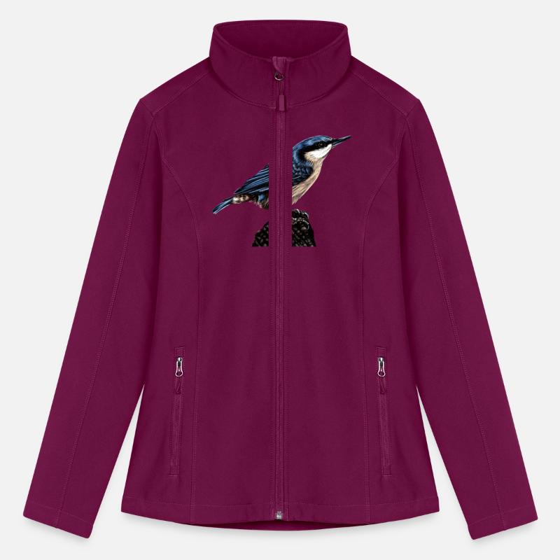 Nuthatch illustration