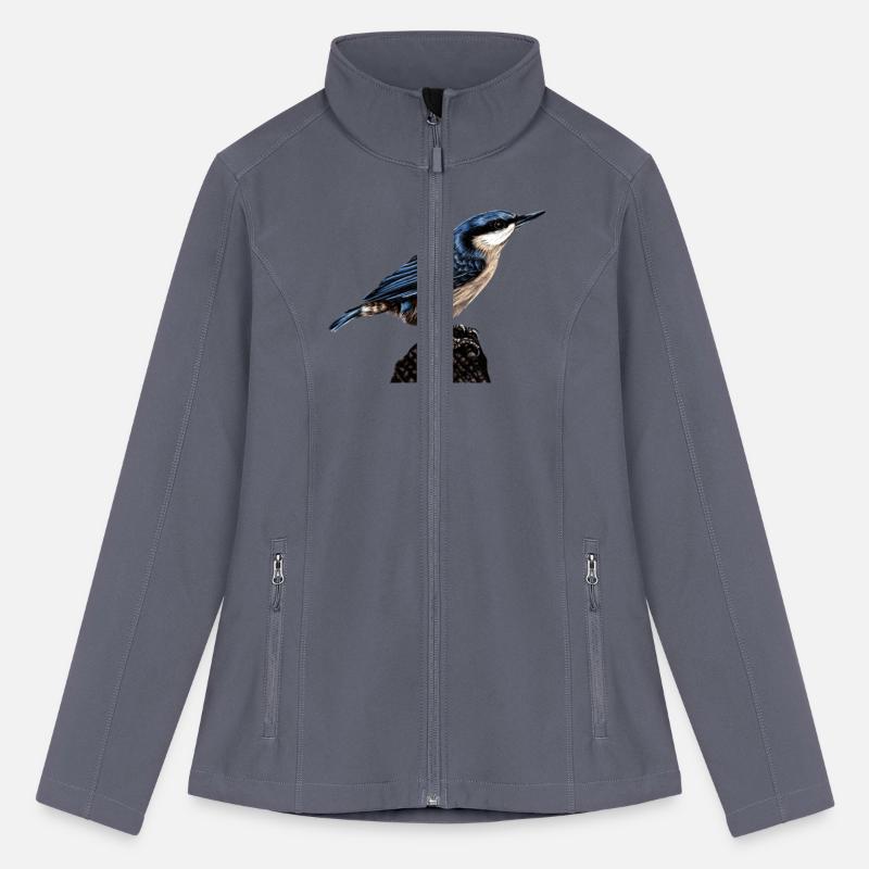 Nuthatch illustration