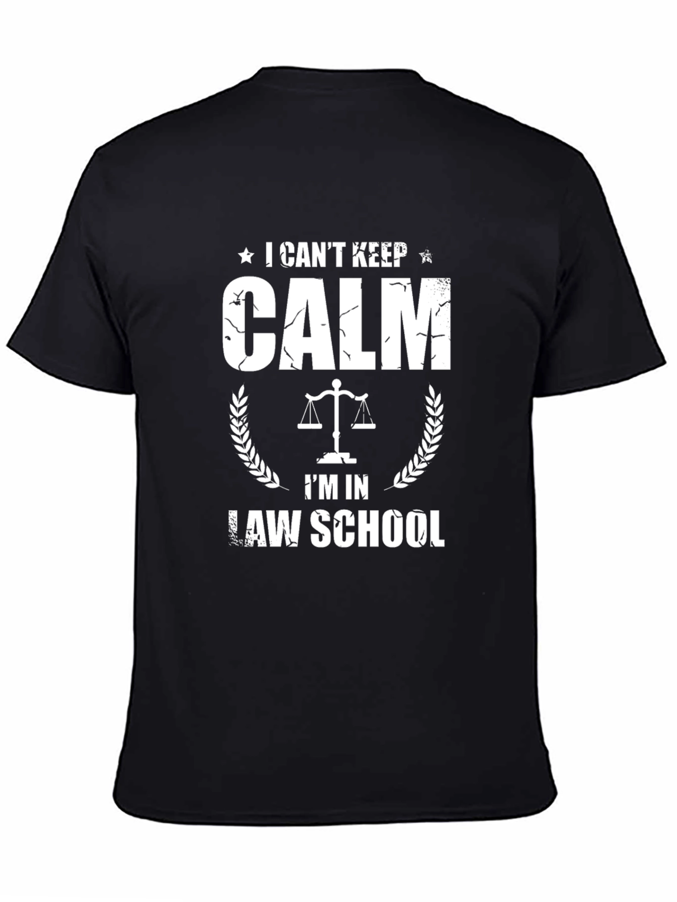 I Cant Keep Calm Im In Law School T-Shirt