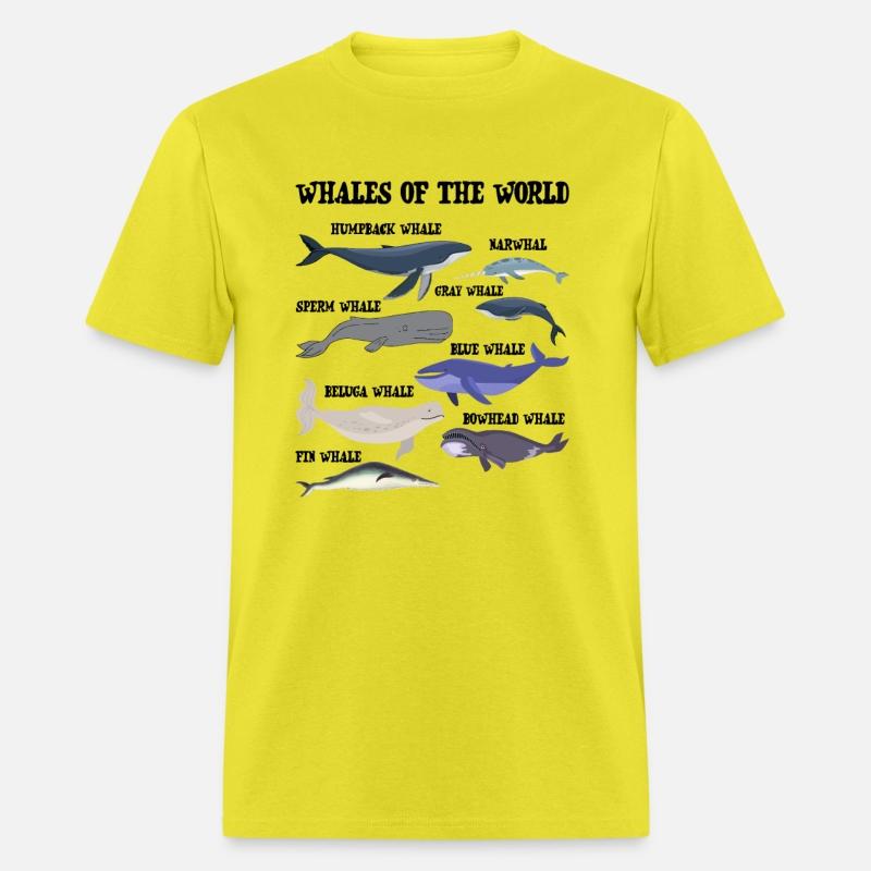 Whales Of The World