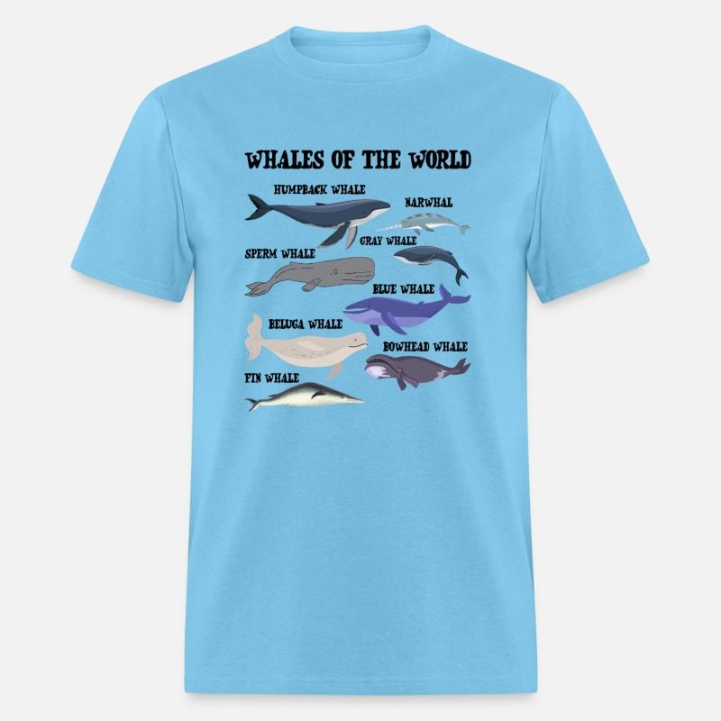 Whales Of The World