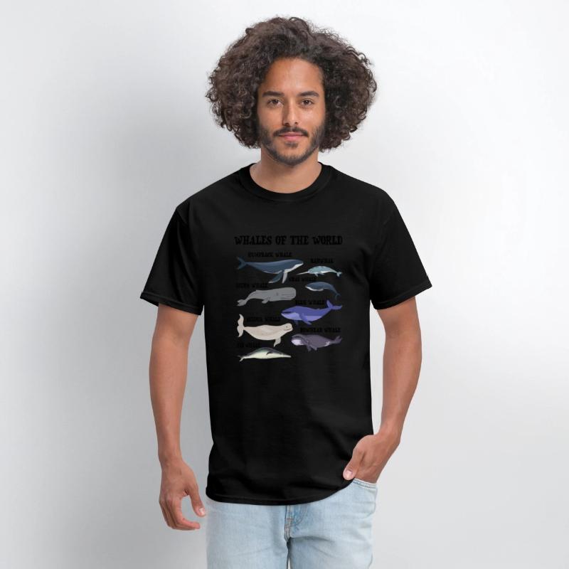 Whales Of The World