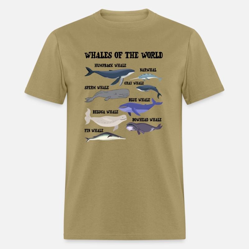 Whales Of The World