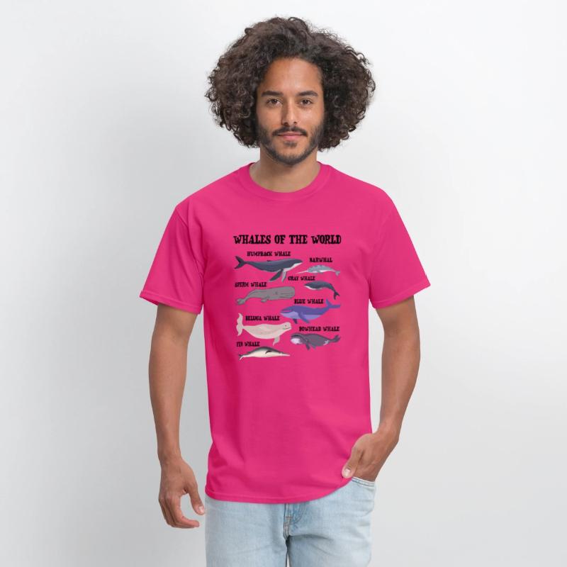 Whales Of The World