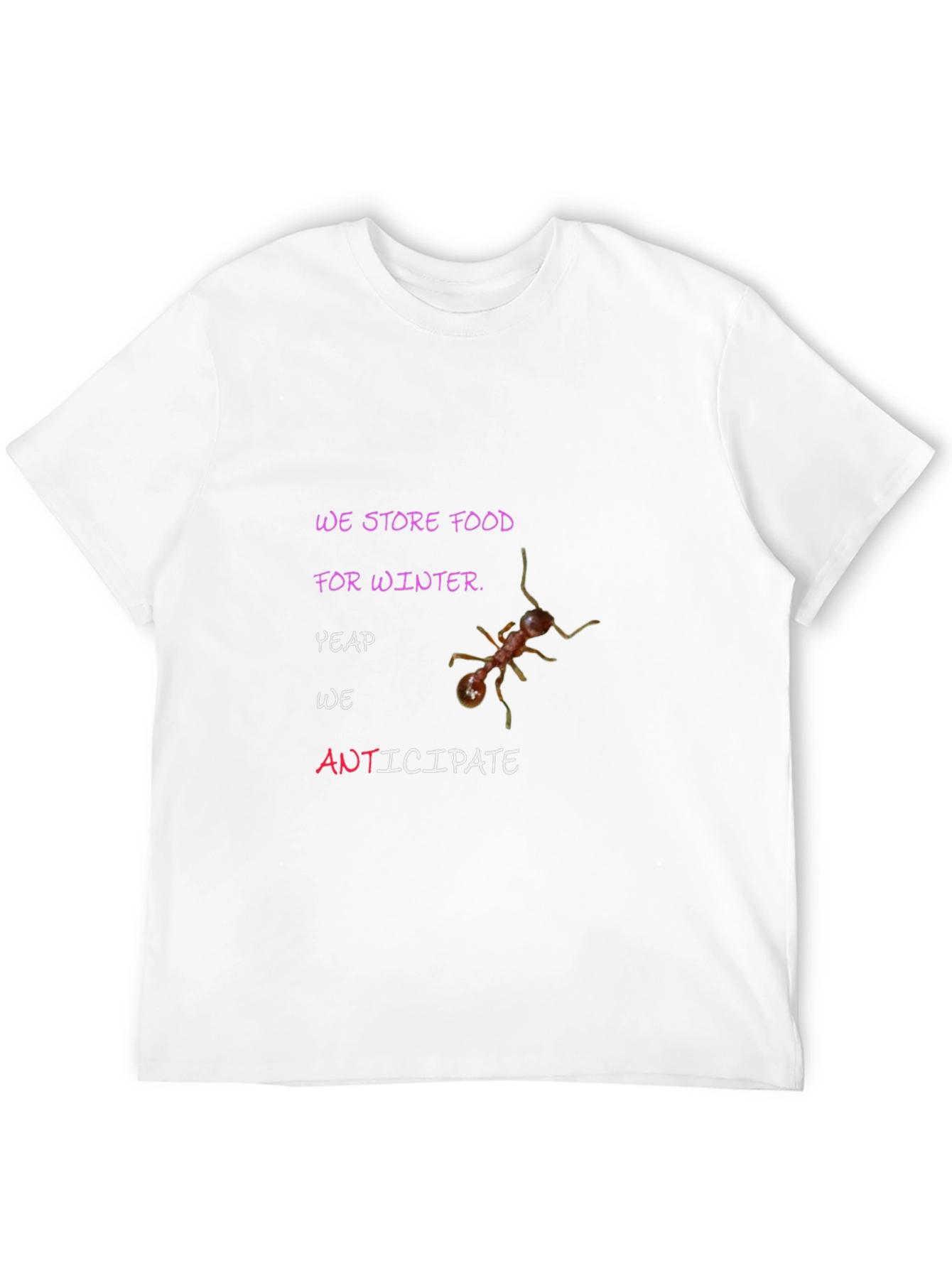Anticipate Winter T-Shirt: We Store Food