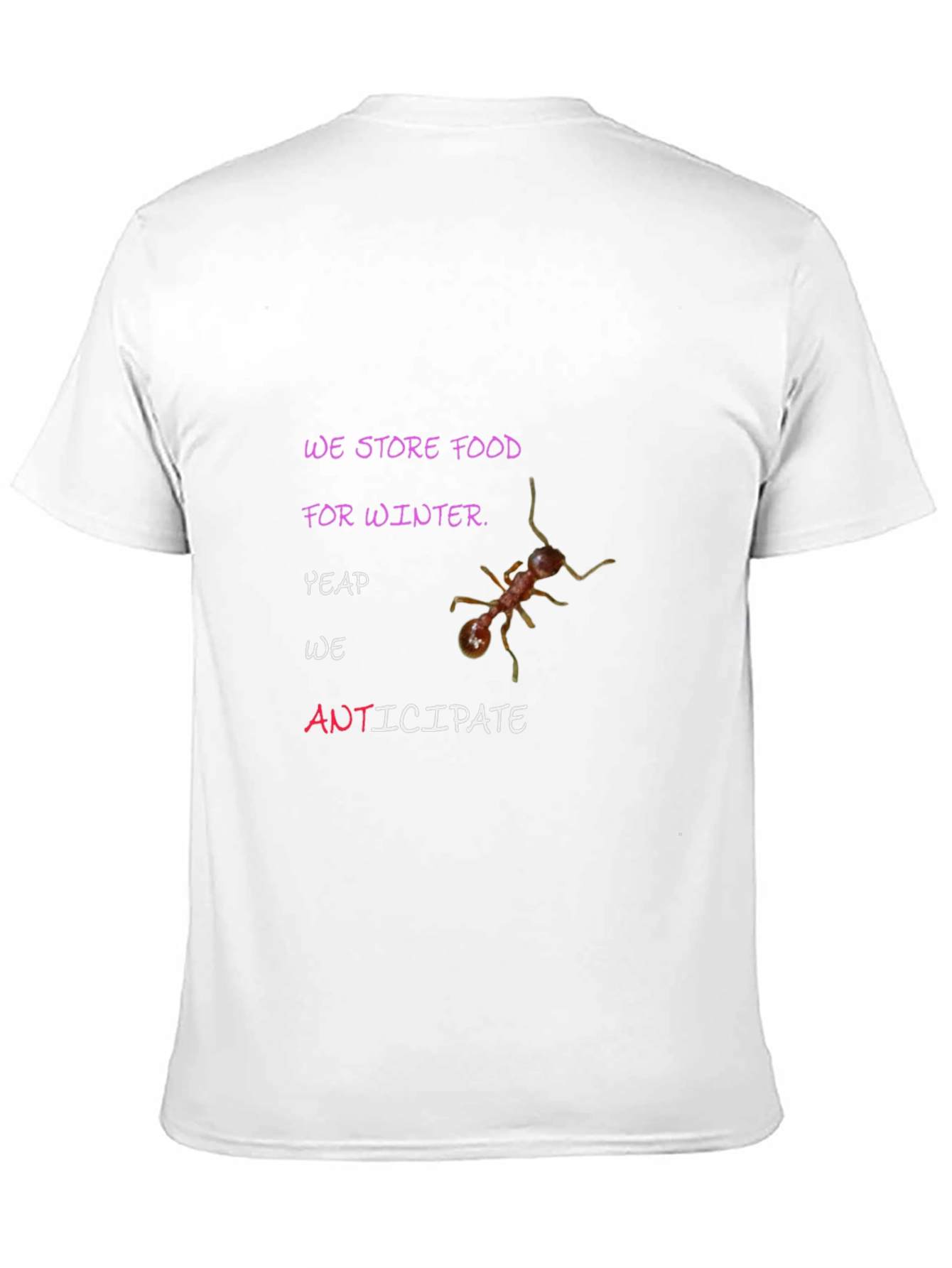 Anticipate Winter T-Shirt: We Store Food