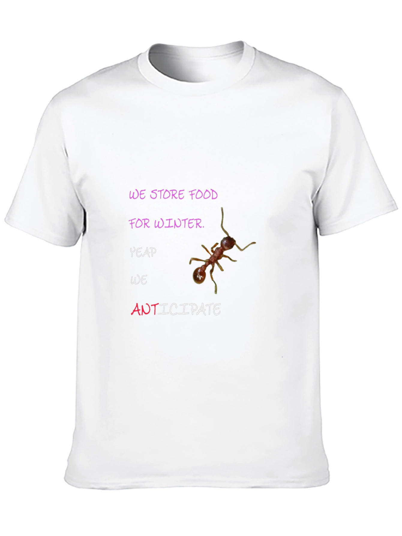 Anticipate Winter T-Shirt: We Store Food